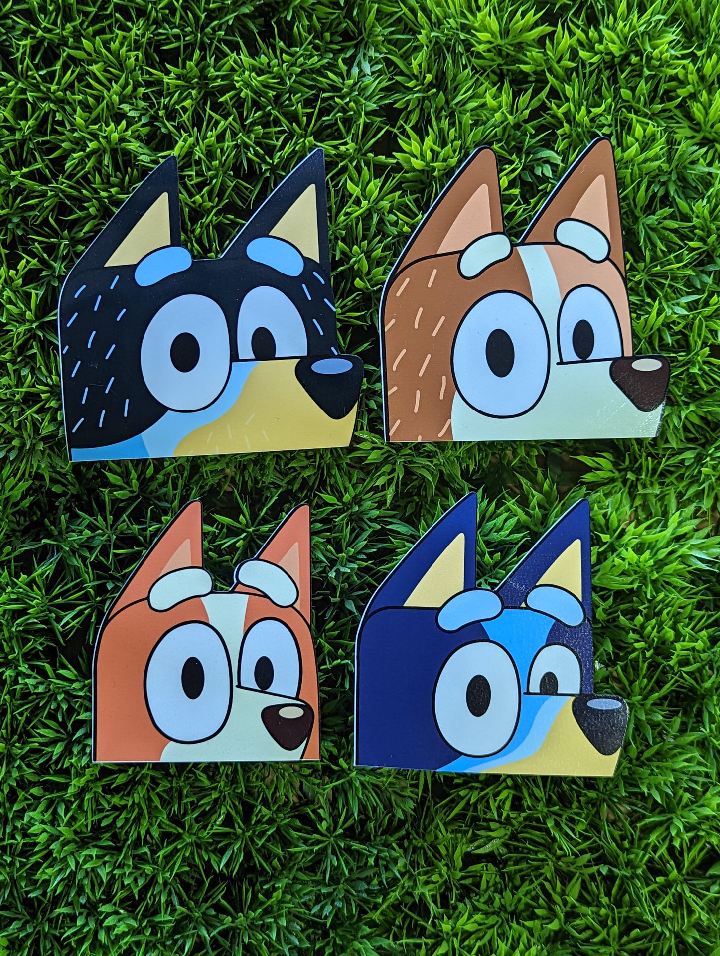 Heeler Peekers