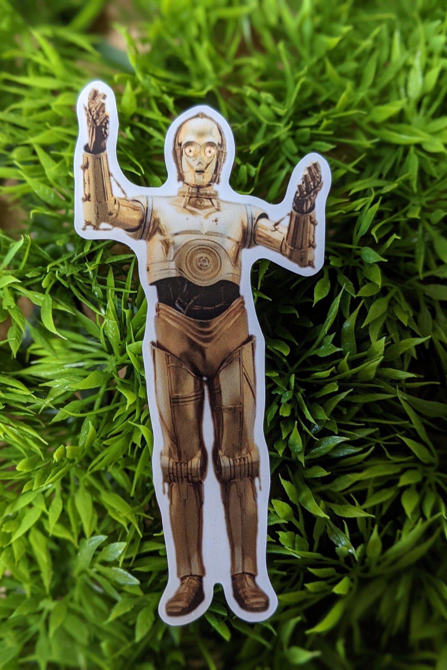 C-3PO 2 Pack