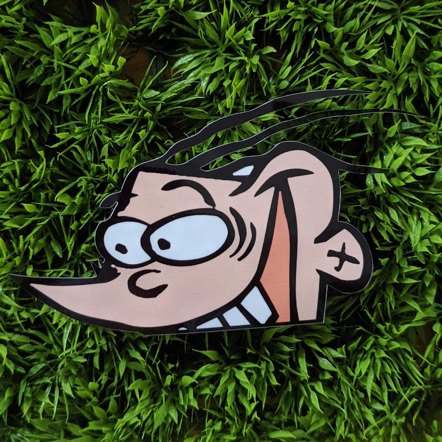Plank Peeker