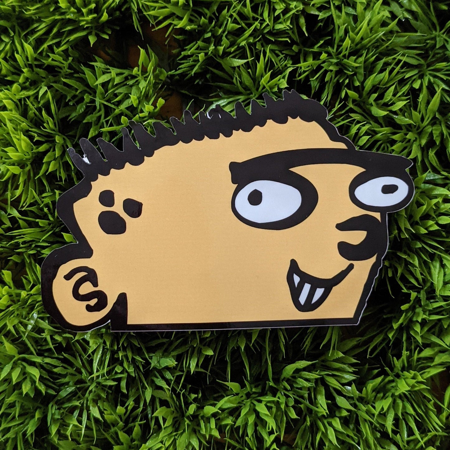 Plank Peeker