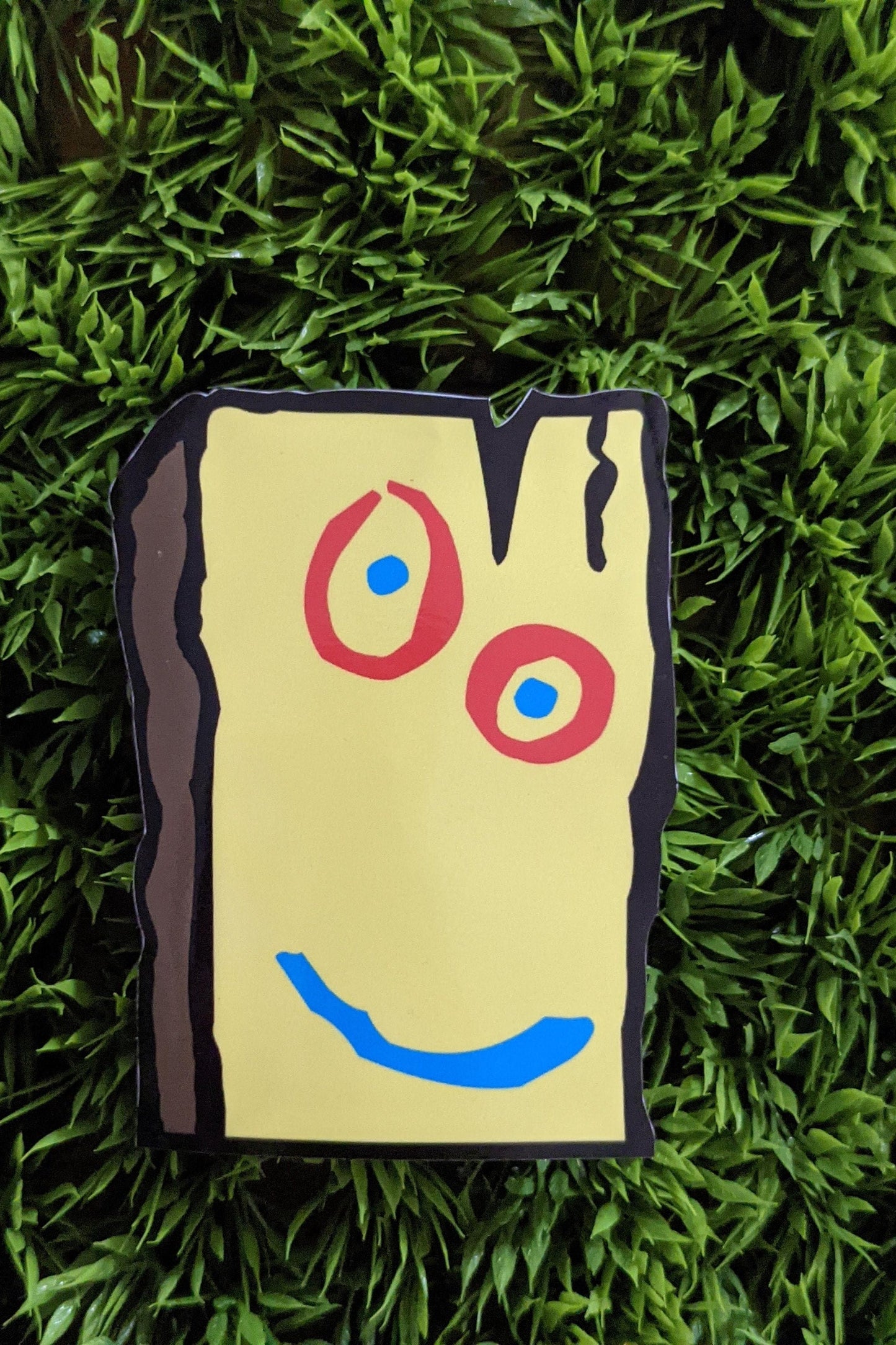 Plank Peeker