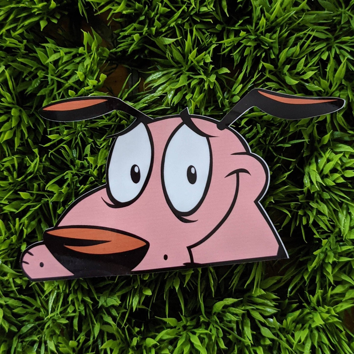 Courage The Cowardly Dog